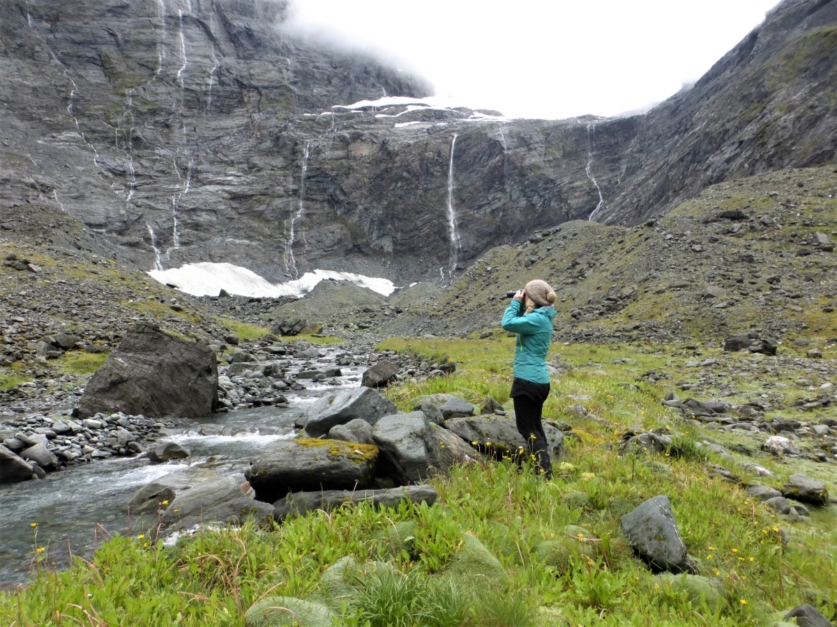 Rachel Hufton rock wren survey