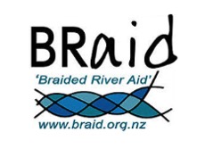 Braid logo NZ