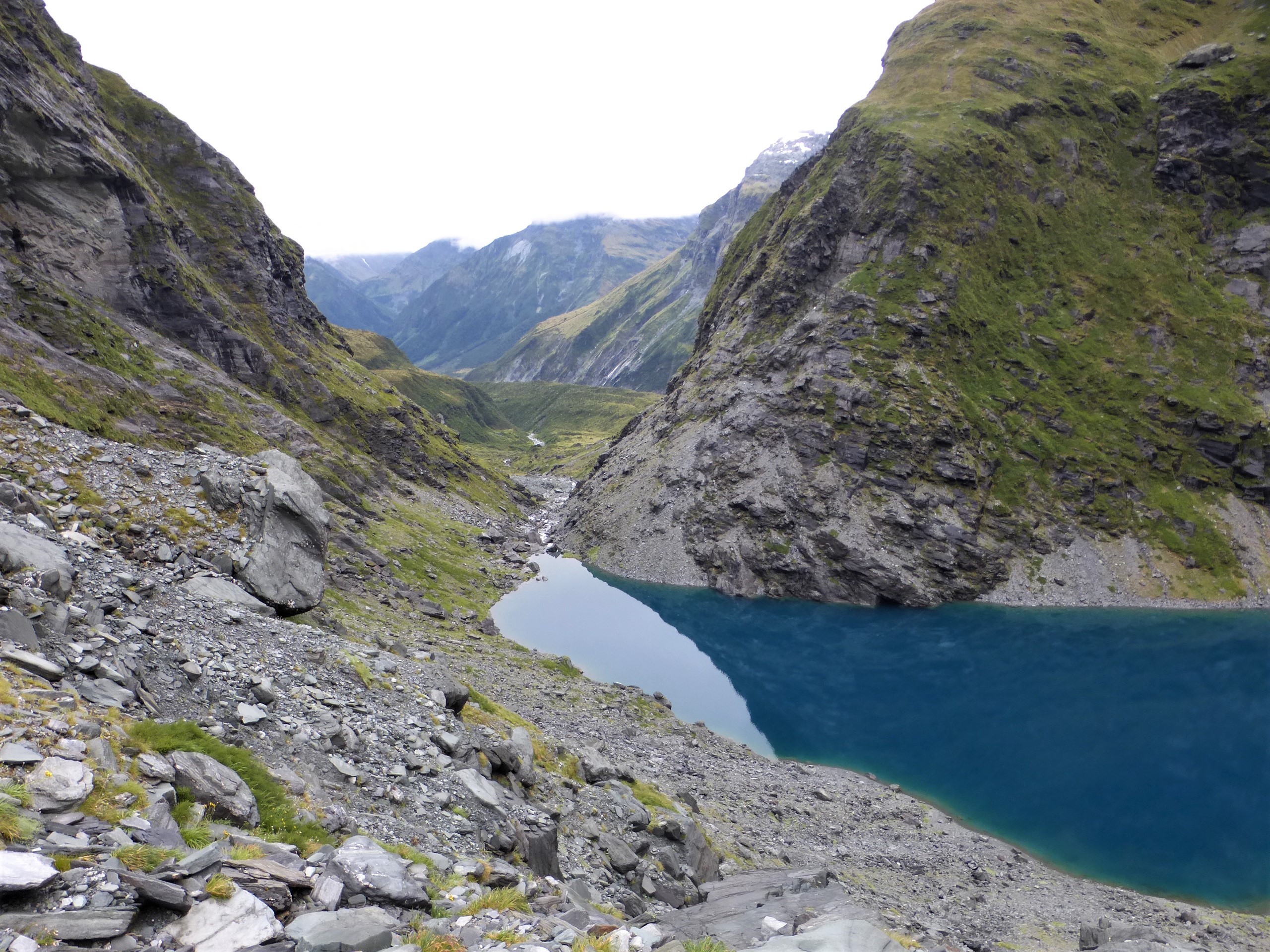 lakecastalliajpg rock wren habitat ABT