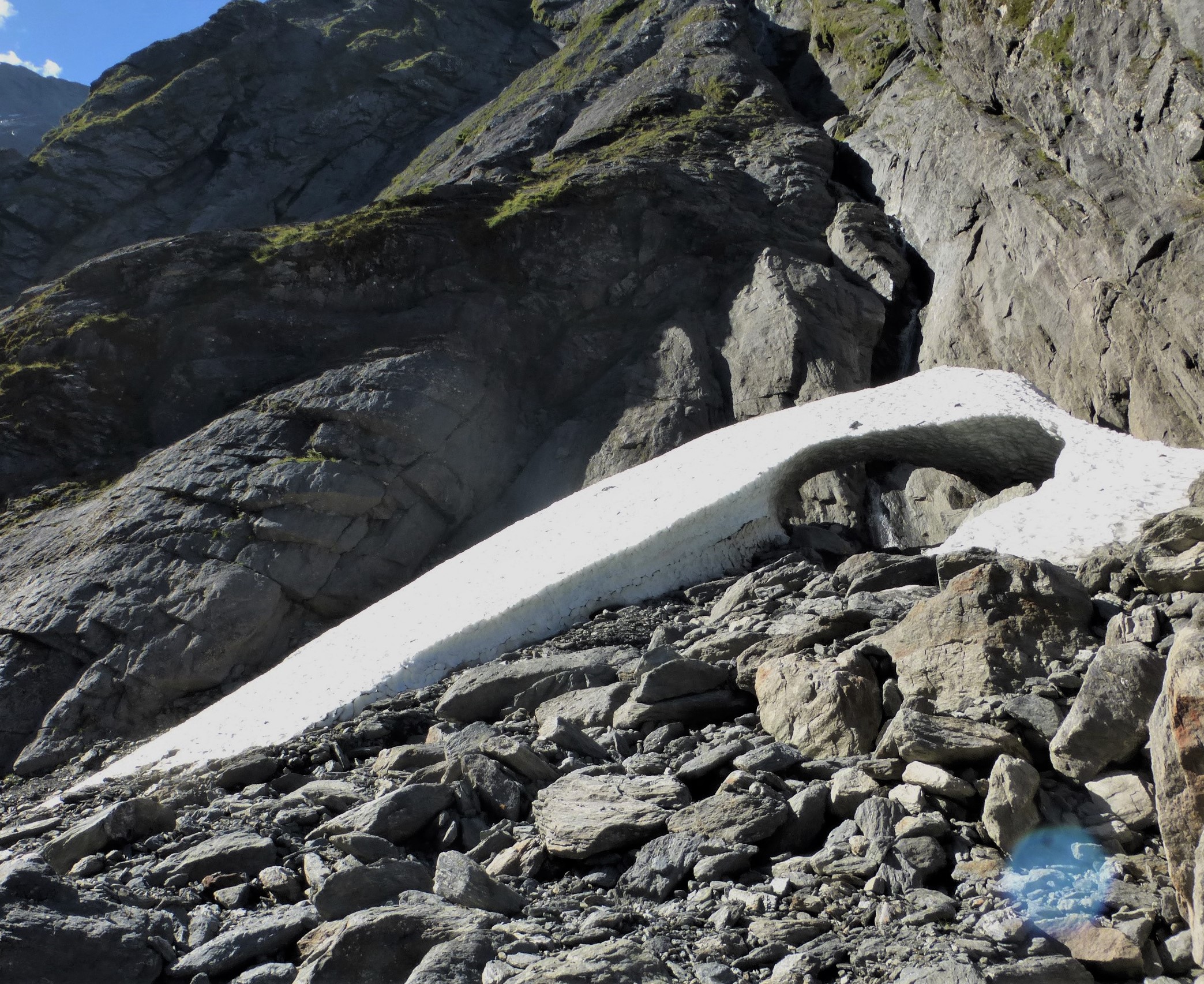 rock wren habitat ABT