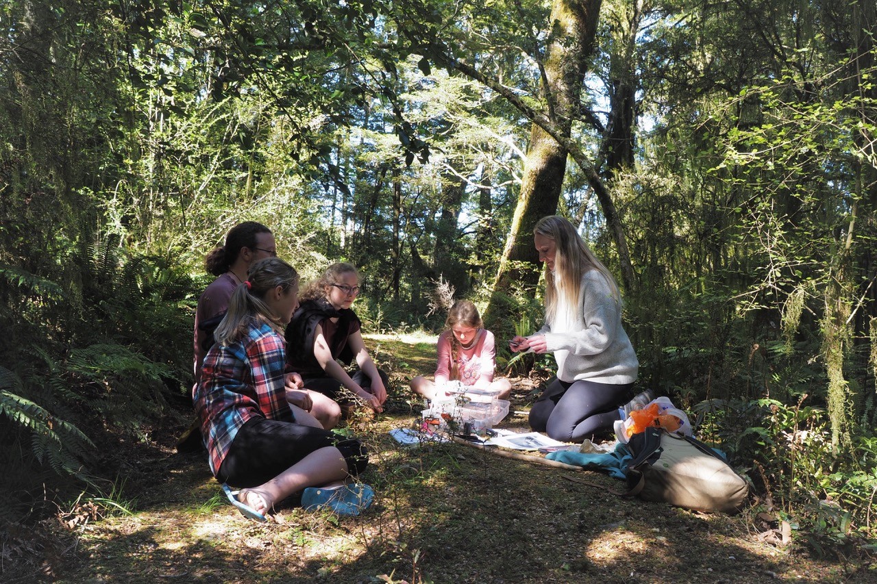 forest bird banding