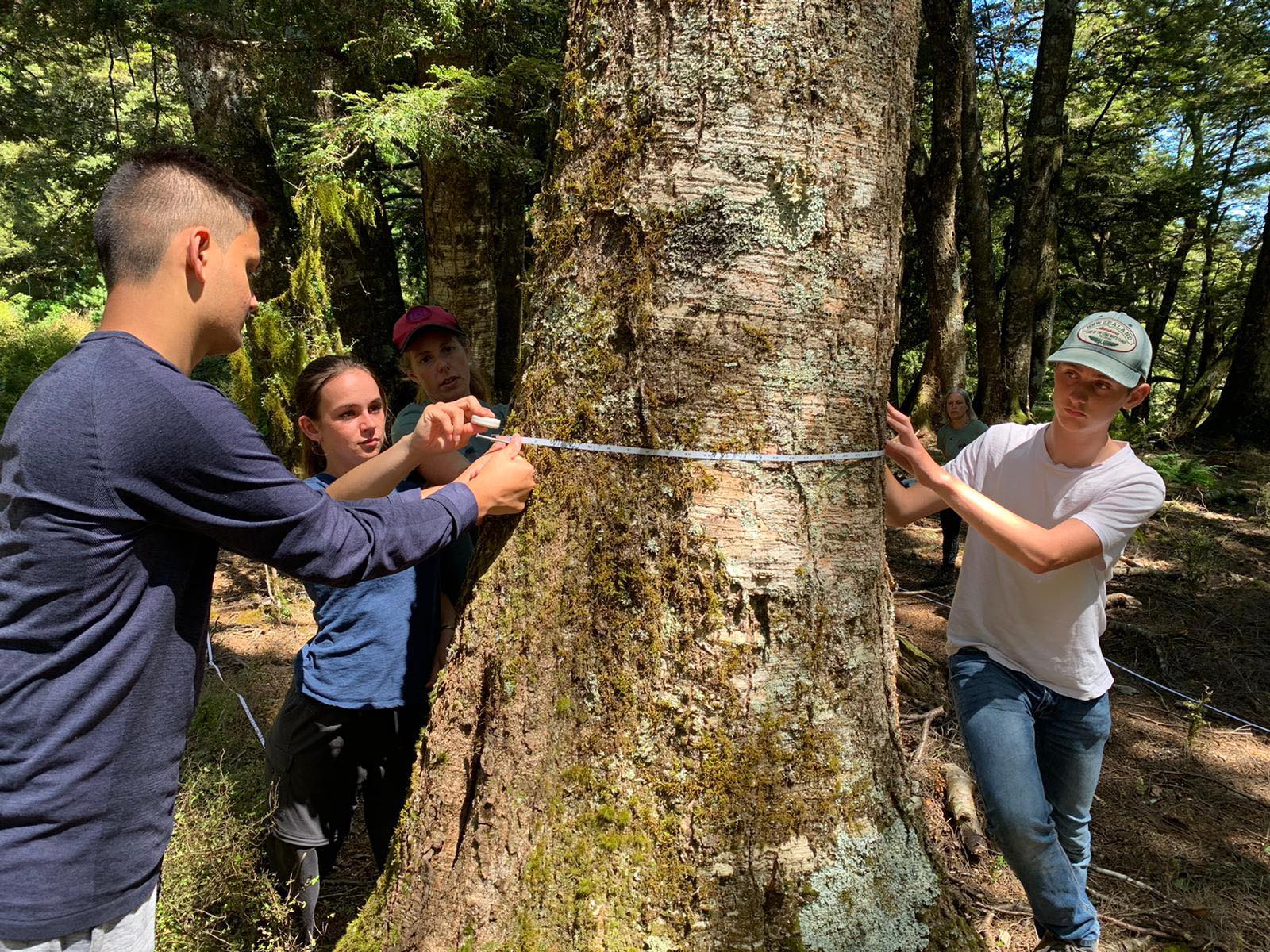 Makarora Field Course