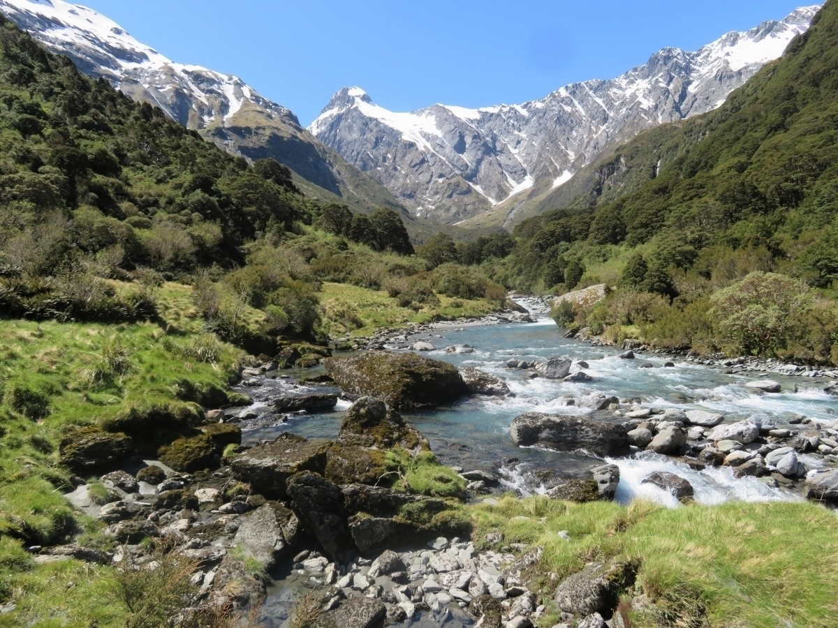 Upper catchments of the Makarora – Aspiring Biodiversity Trust