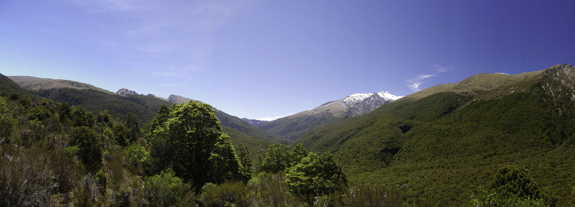 Above Haast Pass looking west to Mt Brewster
