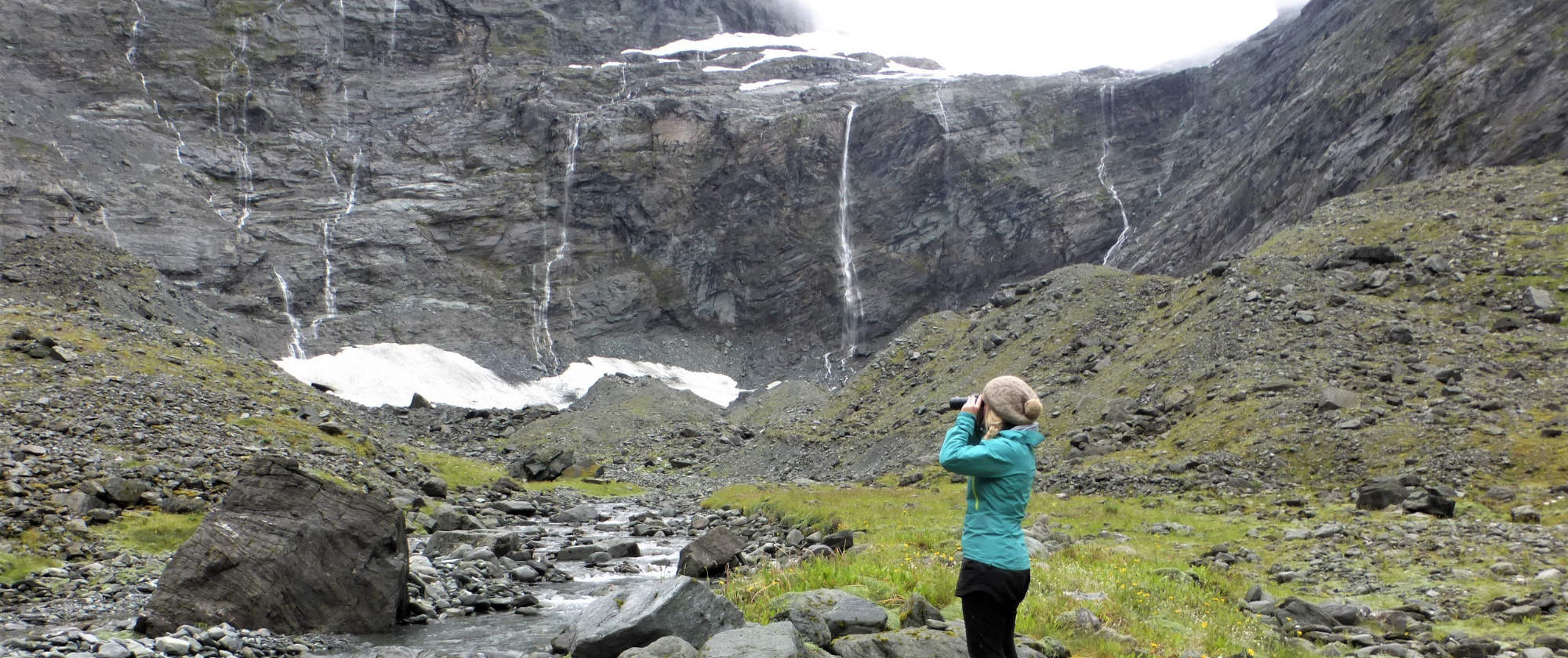 Bird counting in the Upper Wilken, Mt Aspiring National Park