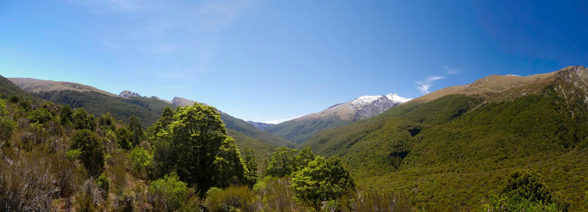 View north from a track above Haast Pass NZ